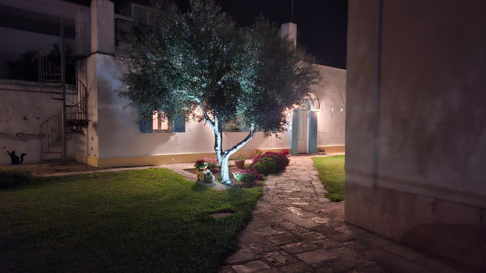 Bed and Breakfast Villino Tronchetto Bianco à Mola di Bari Extérieur photo